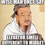 wise confusius | WISE MAN ONCE SAY; ELEVATOR SMELL DIFFERENT TO MIDGET | image tagged in wise confusius | made w/ Imgflip meme maker