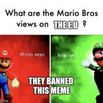 mario bros views on | THE E.U; THEY BANNED THIS MEME | image tagged in mario bros views on | made w/ Imgflip meme maker