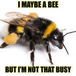 Bee with a stinga | I MAYBE A BEE; BUT I'M NOT THAT BUSY | image tagged in bee with a stinga,funny | made w/ Imgflip meme maker