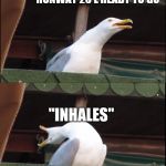Seagull meme | FINNAIR 4567 CLEARED THE LAND RUNWAY 25 L; UNITED 7895 RUNWAY 25 L READY TO GO; "INHALES"; UNITED 7895 CLEAR TO TAKE OFF RUNWAY 25 L | image tagged in seagull meme | made w/ Imgflip meme maker