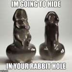 easter bunny | IM GOING TO HIDE; IN YOUR RABBIT HOLE | image tagged in easter bunny | made w/ Imgflip meme maker