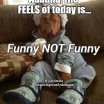 Funny NOT Funny | Aaaand, the FEELS of today is... Funny NOT Funny; #rccardenas #unapologeticallyobdurate | image tagged in dog tired,funny memes,funny meme,life,real life | made w/ Imgflip meme maker