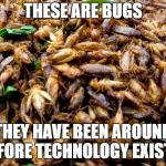 insects¨ | THESE ARE BUGS; THEY HAVE BEEN AROUND BEFORE TECHNOLOGY EXISTED | image tagged in insects,technology,glitch,windows mac | made w/ Imgflip meme maker