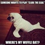 Club the Seal | SOMEONE WANTS TO PLAY "CLUB THE SEAL"; WHERE'S MY WIFFLE BAT? | image tagged in halloween dog seal,club the seal,wiffle bat | made w/ Imgflip meme maker