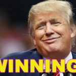 Trump smug immature | WINNING! | image tagged in trump smug immature | made w/ Imgflip meme maker