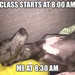 Stickdog | CLASS STARTS AT 8:00 AM; ME AT 8:30 AM | image tagged in stickdog | made w/ Imgflip meme maker