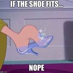 Cinderella shoe | IF THE SHOE FITS... NOPE | image tagged in cinderella shoe | made w/ Imgflip meme maker
