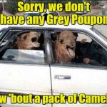 Quit Hatin | Sorry, we don't have any Grey Poupon How 'bout a pack of Camels? | image tagged in memes,quit hatin,camels,cigarettes,bad puns | made w/ Imgflip meme maker