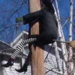 Clinton hits pole