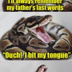 A poisonous snake’s last bite | I’ll always remember my father’s last words; “Ouch!  I bit my tongue” | image tagged in pun snake,memes,poison,snake | made w/ Imgflip meme maker