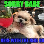 Busy Dog...
Not Really | SORRY BABE; IM HERE WITH THE REAL GUYS | image tagged in dog posing with a cocktail,cocktails,dogs,memes | made w/ Imgflip meme maker