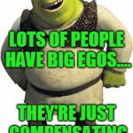 Hmm, I wonder what.... | LOTS OF PEOPLE HAVE BIG EGOS.... THEY'RE JUST COMPENSATING FOR SOMETHING! | image tagged in shrek,memes,ego,big ego man | made w/ Imgflip meme maker