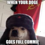 Stop School Communism | WHEN YOUR DOGE; GOES FULL COMMIE | image tagged in communist dog | made w/ Imgflip meme maker