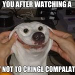 Forced To Smile Dog | YOU AFTER WATCHING A; TRY NOT TO CRINGE COMPALATION | image tagged in forced to smile dog | made w/ Imgflip meme maker