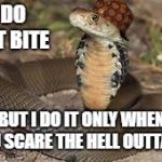 Scumbag Snake | I DO NOT BITE; BUT I DO IT ONLY WHEN YOU SCARE THE HELL OUTTA ME | image tagged in scumbag snake | made w/ Imgflip meme maker