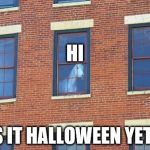 window horse | HI; IS IT HALLOWEEN YET? | image tagged in window horse | made w/ Imgflip meme maker