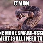 Rattlesnake | C'MON; ONE MORE SMART-ASSED COMMENT IS ALL I NEED TODAY!!! | image tagged in rattlesnake | made w/ Imgflip meme maker