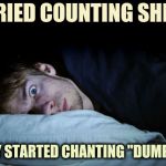 My insomnia is hopeless | I TRIED COUNTING SHEEP; BUT THEY STARTED CHANTING "DUMP TRUMP" | image tagged in night terror,sheep,sleepy,the great awakening | made w/ Imgflip meme maker