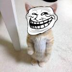 Troll Cat meme