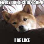 Sad Doge | WHEN MY DOGE COINS ARE GONE; I BE LIKE | image tagged in sad doge | made w/ Imgflip meme maker