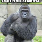 Bad joke gorilla | WHAT DO YOU CALL AN ALL-FEMINIST COLLEGE? A HIPPO CAMPUS | image tagged in bad joke gorilla | made w/ Imgflip meme maker