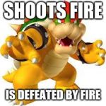 Bowser | SHOOTS FIRE; IS DEFEATED BY FIRE | image tagged in bowser | made w/ Imgflip meme maker