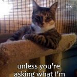 The Most Interesting Cat In The World | Drugs, alcohol and wild parties are not the answer... unless you're asking what I'm doing this weekend. | image tagged in memes,the most interesting cat in the world | made w/ Imgflip meme maker
