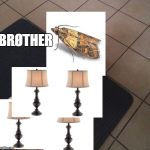 Loops Brother | BRØTHER | image tagged in loops brother | made w/ Imgflip meme maker