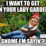 Thief gnome | I WANT TO GET IN YOUR LADY GARDEN. GNOME I’M SAYIN’? | image tagged in gnome,funny,laugh | made w/ Imgflip meme maker