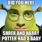 smart shrek | DID YOU HERE; SHREK AND HARRY POTTER HAD A BABY | image tagged in smart shrek | made w/ Imgflip meme maker