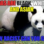 Black, White and Asian | WHITE; BLACK, PANDAS ARE; AND ASIAN; HOW RACIST CAN YOU GET? | image tagged in panda,black,white,asian,racist | made w/ Imgflip meme maker