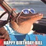 Cool Gator | HAPPY BIRTHDAY, BILL | image tagged in cool gator | made w/ Imgflip meme maker