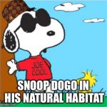 Snoopy Joe Cool | SNOOP DOGO IN HIS NATURAL HABITAT | image tagged in snoopy joe cool,scumbag | made w/ Imgflip meme maker