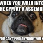 Pug worried | WHEN YOU WALK INTO THE GYM AT A ASSEMBLY; AND YOU CAN'T FIND ANYBODY YOU KNOW | image tagged in pug worried | made w/ Imgflip meme maker