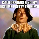 Straw man  | CALIFORNIANS FIND MY COSTUME PRETTY TERRIFYING | image tagged in wizard of oz scarecrow | made w/ Imgflip meme maker