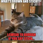 Bad Cat Joke | HEY CAT! WANT TO HEAR A JOKE? WHAT'S BROWN AND STICKY? I SWEAR TO BUDDAH IF YOU SAY STICK... A STICK! | image tagged in bad cat joke | made w/ Imgflip meme maker