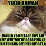 YUCK HUMAN | YUCK HUMAN; WOULD YOU PLEASE EXPLAIN TO ME WHY YOU'RE SCRAPING YOUR TOENAIL FUNGUS OFF INTO MY CAT FOOD? | image tagged in yuck human | made w/ Imgflip meme maker