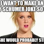 Amy schumer | I WANT TO MAKE AN AMY SCHUMER JOKE SO BAD; BUT SHE WOULD PROBABLY STEAL IT | image tagged in amy schumer | made w/ Imgflip meme maker