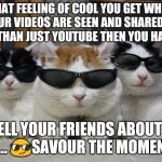 When your videos are on more than YouTube! | THAT FEELING OF COOL YOU GET WHEN YOUR VIDEOS ARE SEEN AND SHARED ON MORE THAN JUST YOUTUBE THEN YOU HAVE TO... TELL YOUR FRIENDS ABOUT IT AND...
😎SAVOUR THE MOMENT!😎 | image tagged in coolcats,memes | made w/ Imgflip meme maker