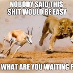 Lion chase | NOBODY SAID THIS SHIT WOULD BE EASY; SO WHAT ARE YOU WAITING FOR | image tagged in lion chase | made w/ Imgflip meme maker