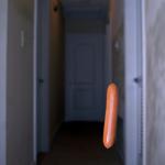 Hot Dog in a Hallway