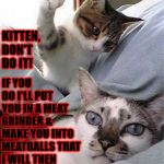 BAD IDEA | IF YOU DO I'LL PUT YOU IN A MEAT GRINDER & MAKE YOU INTO MEATBALLS THAT I WILL THEN FEED TO THE NEIGHBOR'S DOG! KITTEN, DON'T DO IT! | image tagged in bad idea | made w/ Imgflip meme maker