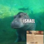 lusty hippo | ISRAEL | image tagged in lusty hippo | made w/ Imgflip meme maker