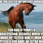 Good luck, horsepeople | ARE YOU EXCITED FOR DAYLIGHT SAVINGS? TOO BAD IF YOUR'E A HORSEPERSON, BECAUSE WHEN YOU WAKE UP TO FEED HIM, IT WON'T MATTER IF YOU HAVE AN EXTRA HOUR | image tagged in horse,daylight savings time,daylight savings,early,memes,funny | made w/ Imgflip meme maker