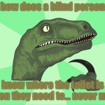 philosoraptor | how does a blind person; know where the toilet is when they need to... never mind | image tagged in new wide philosoraptor | made w/ Imgflip meme maker