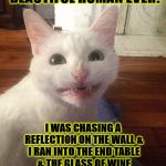 FAKE SMILE | HELLO MOST WONDERFUL BEAUTIFUL HUMAN EVER! I WAS CHASING A REFLECTION ON THE WALL & I RAN INTO THE END TABLE & THE GLASS OF WINE SPILLED ON YOUR BRAND NEW EXPENSIVE WHITE COUCH! SORRRRY! | image tagged in fake smile | made w/ Imgflip meme maker