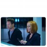 X FILES MULDER AND SCULLY BLANK