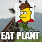 Eat Plant | EAT PLANT | image tagged in eat plant,scumbag | made w/ Imgflip meme maker
