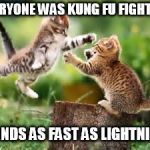 free hugs | EVERYONE WAS KUNG FU FIGHTING; HANDS AS FAST AS LIGHTNING | image tagged in free hugs | made w/ Imgflip meme maker
