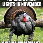 No Christmas lights in November | NO CHRISTMAS LIGHTS IN NOVEMBER; GIVE ME MY MOMENT. | image tagged in thanksgiving day,christmas decorations | made w/ Imgflip meme maker